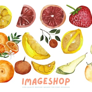 Impressionante pacote de imagens de frutas em aquarela, pintado à mão, laranjas, limões, morangos, adesivos digitais, download digital instantâneo, decoupage