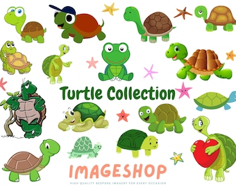Turtle Clipart, Cute Cartoon Graphics, Scrapbook Images (Digital Download)