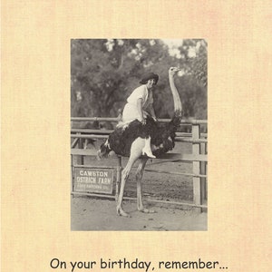 On your birthday, remember... - Birthday Card - Funny Card - Friend Birthday - Happy Birthday