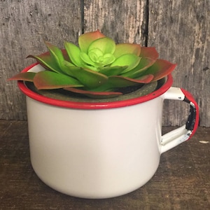 Enamelware Cup With Artificial Succulent