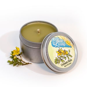 Creosote Bush/Rain In the Sonoran Desert/Chaparral Soy free beeswax candle - with coconut wax