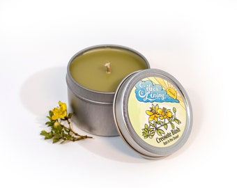 Creosote Bush/Rain In the Sonoran Desert/Chaparral Soy free beeswax candle - with coconut wax