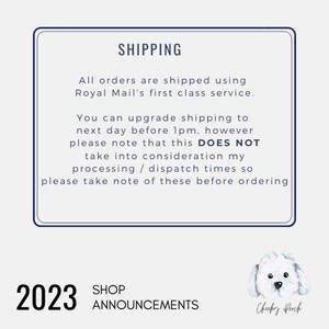 Pu&ograve; includere: Una casella di testo blu e bianca con l'intestazione "SHIPPING" e informazioni sulle opzioni di spedizione e sui tempi di elaborazione. La casella di testo &egrave; su uno sfondo bianco con una grafica di annuncio del negozio 2023 in basso.