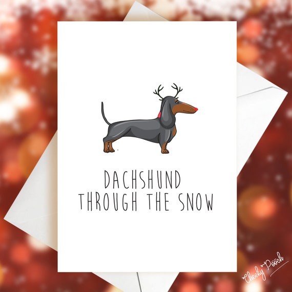 best toys for schnauzers