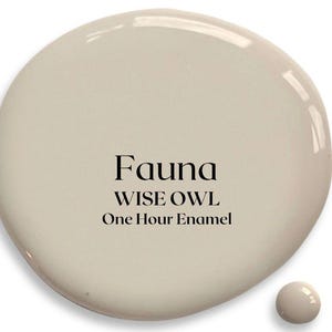 Fauna Wise Owl One Hour Enamel OHE