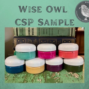 SAMPLE Wise Owl Chalk Synthesis Paint 2 oz