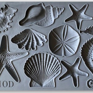IOD Seashells Sea Shells 6×10 Decor Mould Iron Orchid Designs
