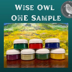 SAMPLE Wise Owl One Hour Enamel Paint 2 oz