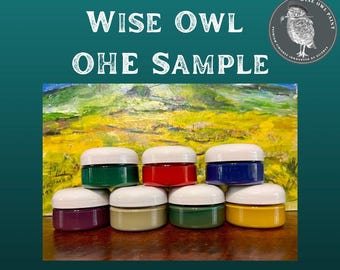 SAMPLE Wise Owl One Hour Enamel Paint 2 oz
