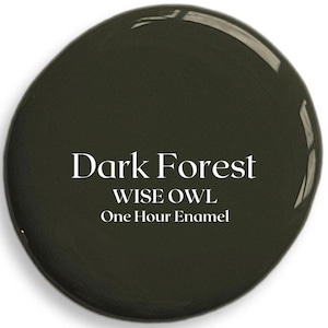 Dark Forest Wise Owl One Hour Enamel OHE