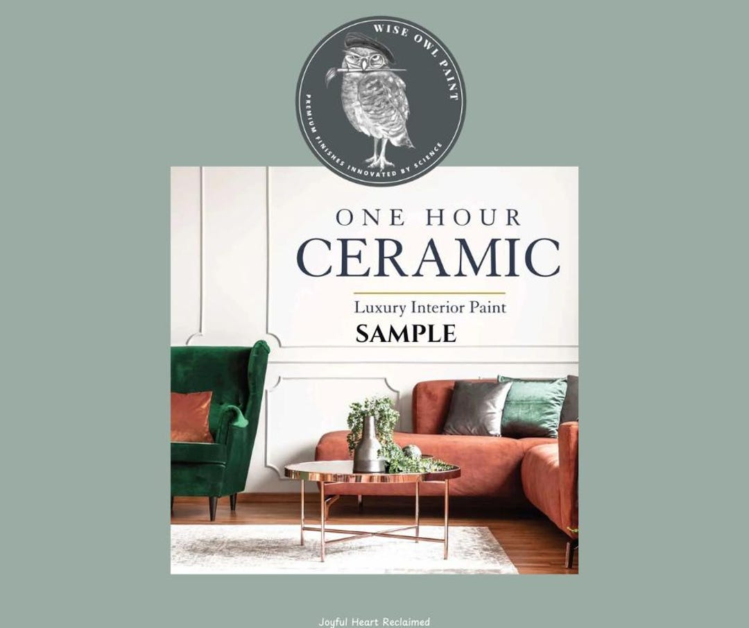 SAMPLE Wise Owl One Hour Ceramic Luxury Interior Wall Paint - Etsy