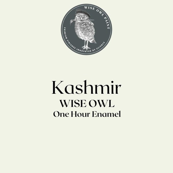 Kashmir Wise Owl One Hour Enamel OHE