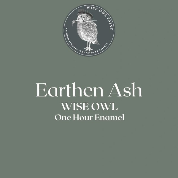 Earthen Ash Wise Owl One Hour Enamel OHE