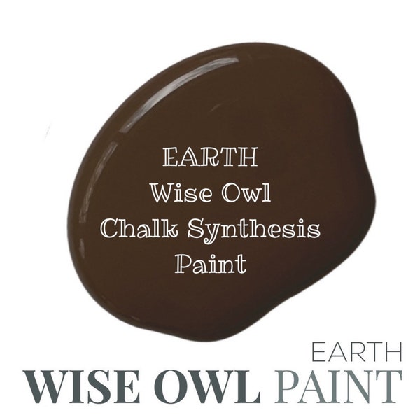 EARTH Wise Owl Chalk Synthesis Paint Brown