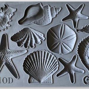 IOD Seashells Sea Shells 6×10 Decor Mould Iron Orchid Designs
