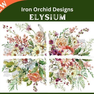 Elysium Transfer 4 pages 12” X 16”