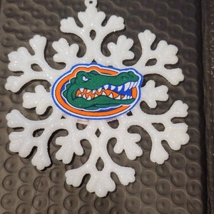 Florida themed Christmas Ornaments / college themed ornaments / florida snowflakes