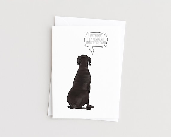 Funny Pet Quote Birthday Greeting Card with Personalized Cats and Dogs