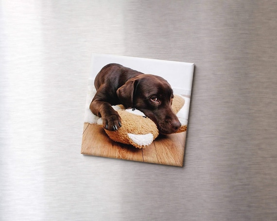 Custom Pet Magnet Gift with Greeting Card Option, Personalized Photo
