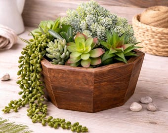 Macetero rústico de madera con suculentas / Decoración estilo granja / Macetero hexagonal