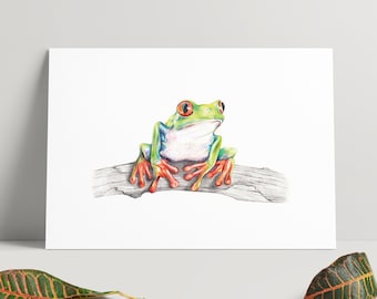 Handgezeichnete Illustration von einem grünen Red Eyed Frosch - A4-Druck