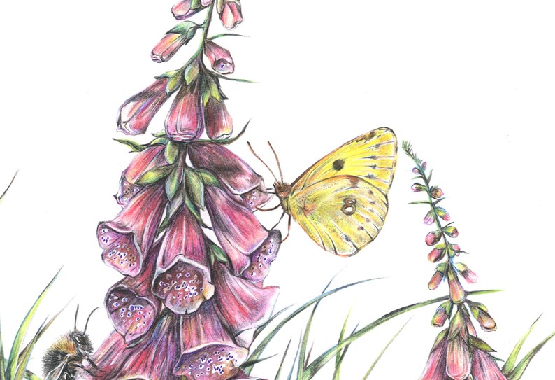 K&ouml;nnte beinhalten: Ein gelber Schmetterling mit schwarzen Flecken sitzt auf einer Gruppe von rosafarbenen Fingerhutblumen. Eine Hummel ist ebenfalls unten im Bild zu sehen.