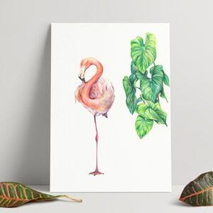 Hand drawn illustration of a Flamingo - A4 Print