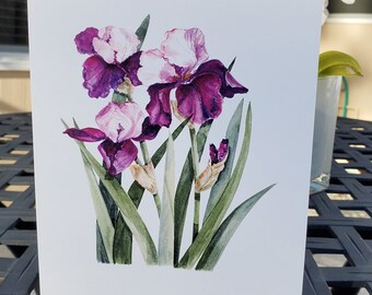 Watercolor Irises Greeting Card by Sister Mary, Floral Art