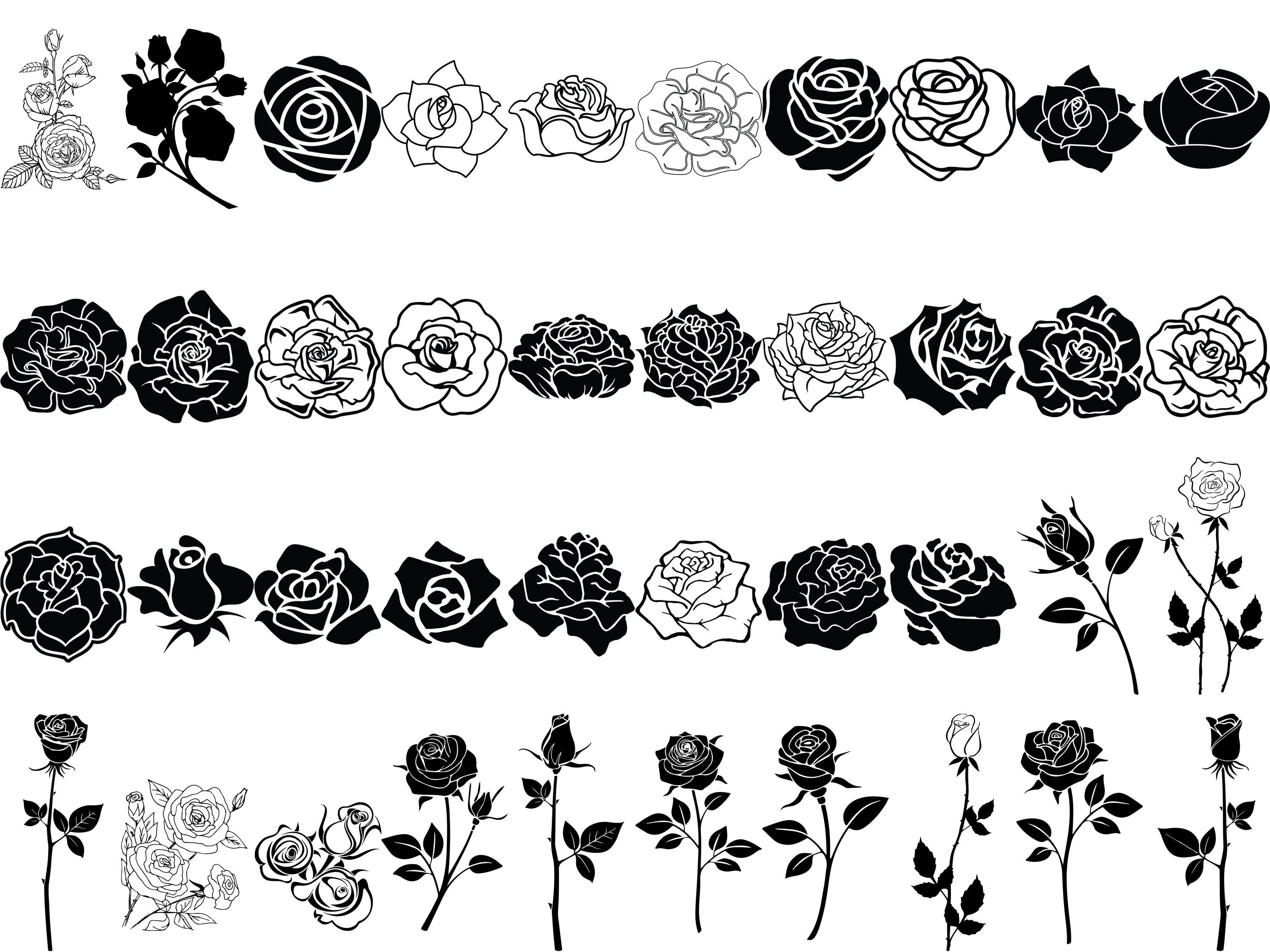 Rose Svg Bundle Rose Svg Png Flower Svg Png Decorative Border SVG Text rose-svg-bundle-rose-svg-png-flower-svg-png-decorative-border-svg-text
