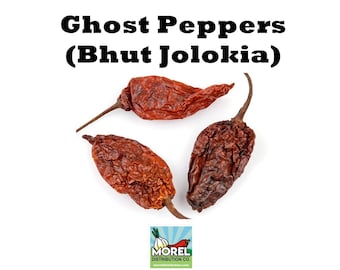 Pimientos fantasma secos, chiles Bhut Jolokia, extremadamente picantes. 0,5 oz y 2 oz.