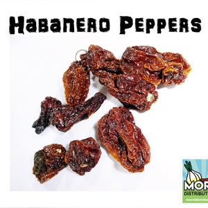 Dried Chili Habanero Peppers // Weight per bag: 1 oz, 4 oz, 8 oz, & 1 lb //