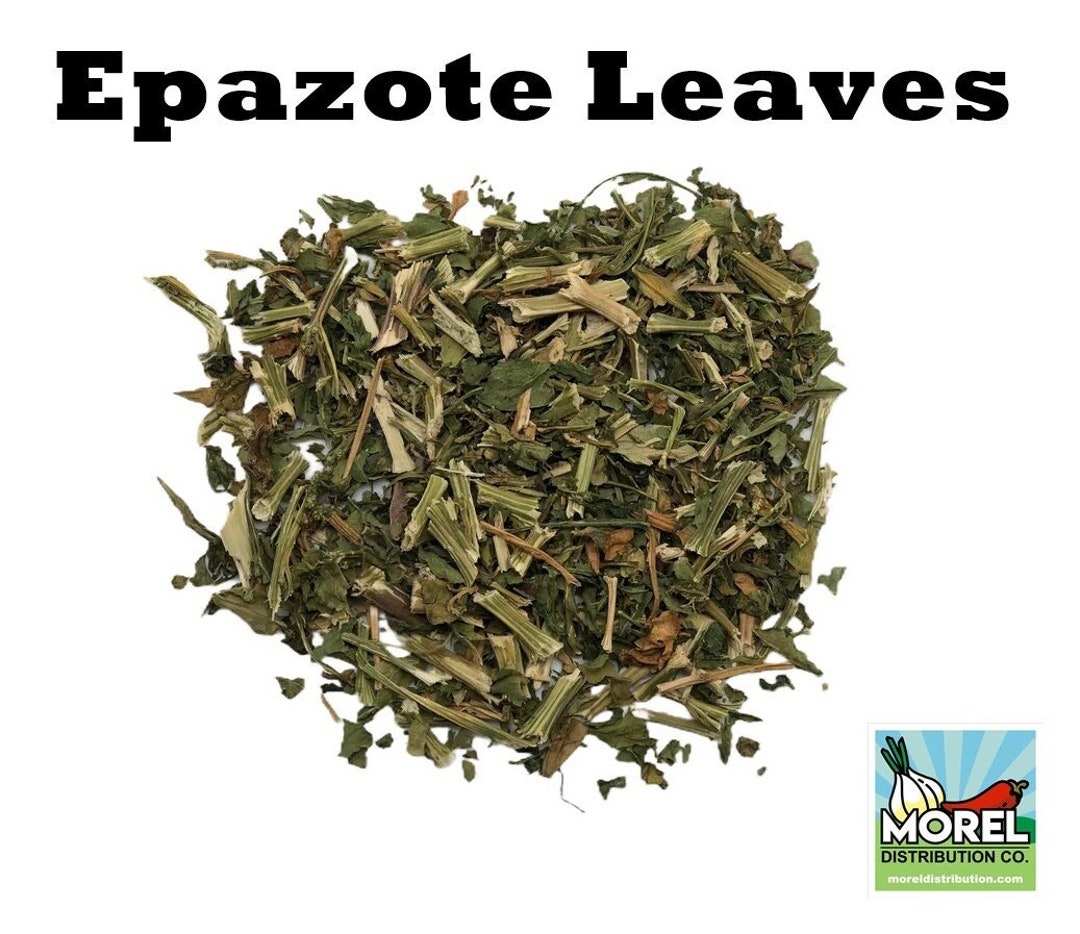 Dried Epazote Leaves and Stems, Hojas De Epazote Con Ramas, Natural