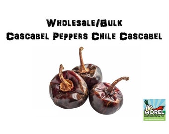 Wholesale Dried Cascabel Chili Pepper (Chile Cascabel) 1 Lb, 2 Lbs, 5 Lbs and 10 Lbs