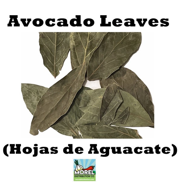 Feuilles d'avocat séchées, hojas de aguacate seco, thé de feuilles d'avocat : 2 oz et 4 oz