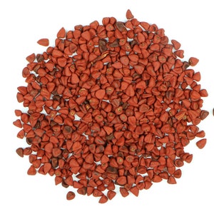 Whole Annatto Seeds, Semillas de Achiote, Bixa Orellana. 2 lbs, 5 lbs, and 10 lbs. image 2