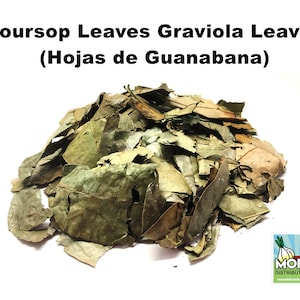 Hojas secas de graviola, hojas secas de té de guanábana, hojas de guanábana 2 oz y 4 oz