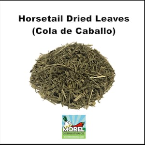 Horsetail Dried Leaves, Horsetail Herb (Cola De Caballo): 2 oz, 4 oz and 1 lb.