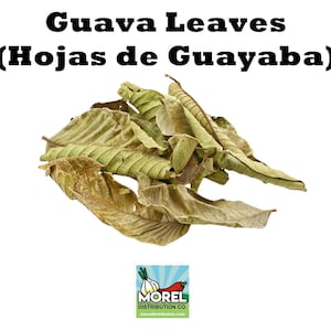 Dried Guava Leaves, Hojas de Guayaba, Loose Guava Leaf Tea 2 oz and 4 oz