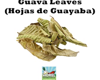 Dried Guava Leaves, Hojas de Guayaba, Loose Guava Leaf Tea 2 oz and 4 oz