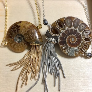 Ammonite Necklace you choose which one you want