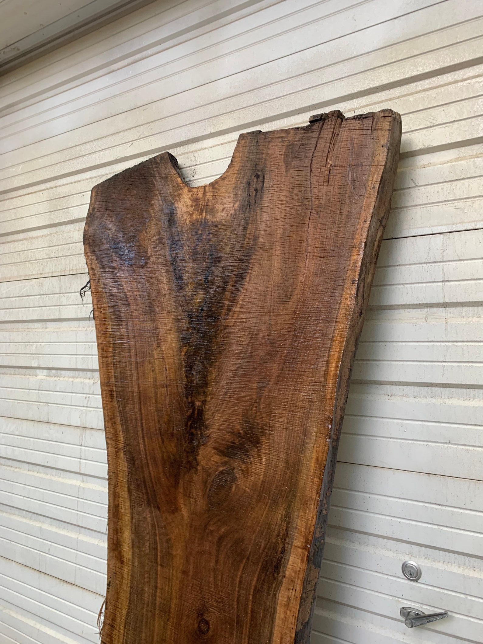 Black Walnut Large Live Edge Slab Table Crotch Figure Etsy