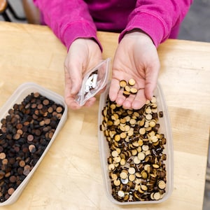 May include: Two containers filled with small wooden circles, one container is filled with dark brown circles and the other with light brown and dark brown circles. A person is holding a small bag of white circles.