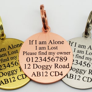 Engraved Pet ID Tag: Double Sided Stainless Steel Cat Dog Tag