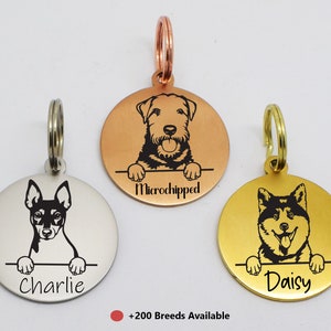 May include: Three round dog tag pendants with engraved dog breeds and names. The tags are in silver, gold, and copper. The text on the tags reads "Charlie", "Daisy", and "Microchipped".