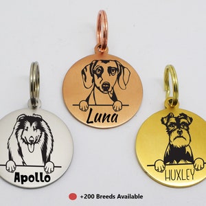 May include: Three personalized dog tag pendants with engraved dog breeds and names. The tags are in silver, gold, and rose gold. The names are "Apollo", "Luna", and "Huxley".