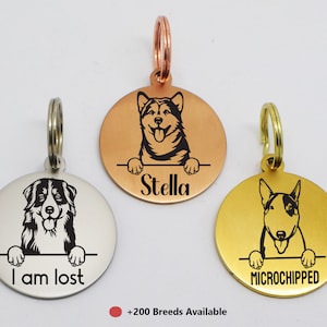 May include: Three round dog tag pendants with different dog breeds and text. The first tag is silver with a Bernese Mountain Dog and the text "I am lost". The second tag is copper with a Shiba Inu and the text "Stella". The third tag is gold with a Bull Terrier and the text "MICROCHIPPED".