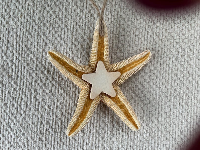 May include: A tan starfish ornament with a white star in the center. The starfish has a string attached to the top for hanging.