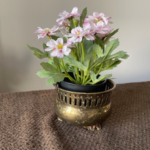May include: A brass planter with a decorative openwork design holds a potted plant with white and pink flowers.
