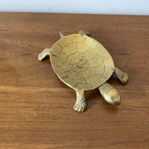 May include: A brass turtle trinket dish with a detailed shell design. The turtle is lying on its back with its legs and head outstretched.