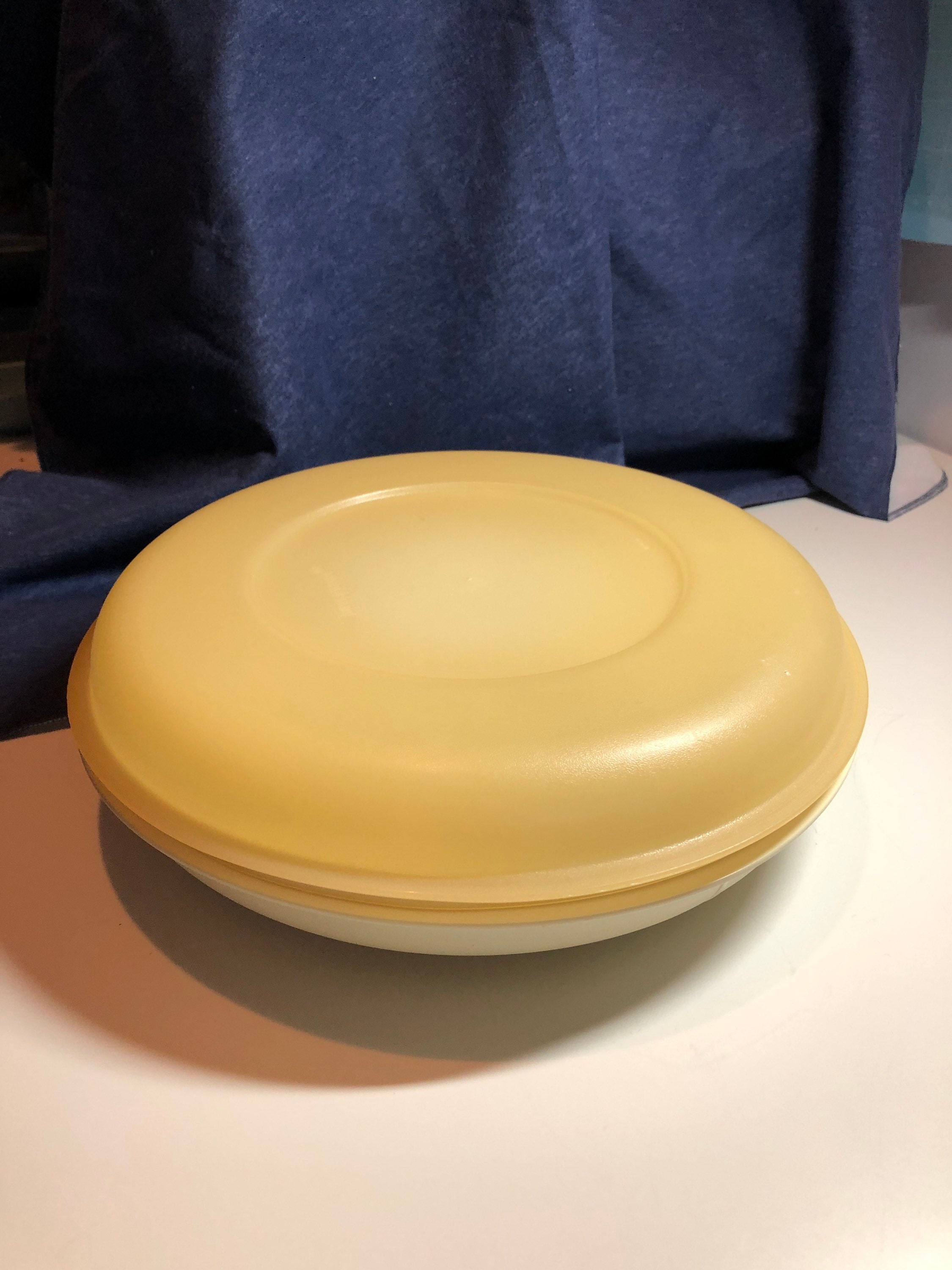 Tupperware Vegetable and Dip Container With Lid 1708 Round Etsy